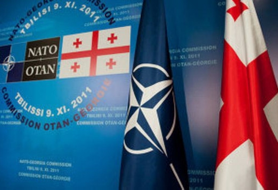 Gürcüstanın sərhəd polisi NATO təlimlərində iştirak edəcək