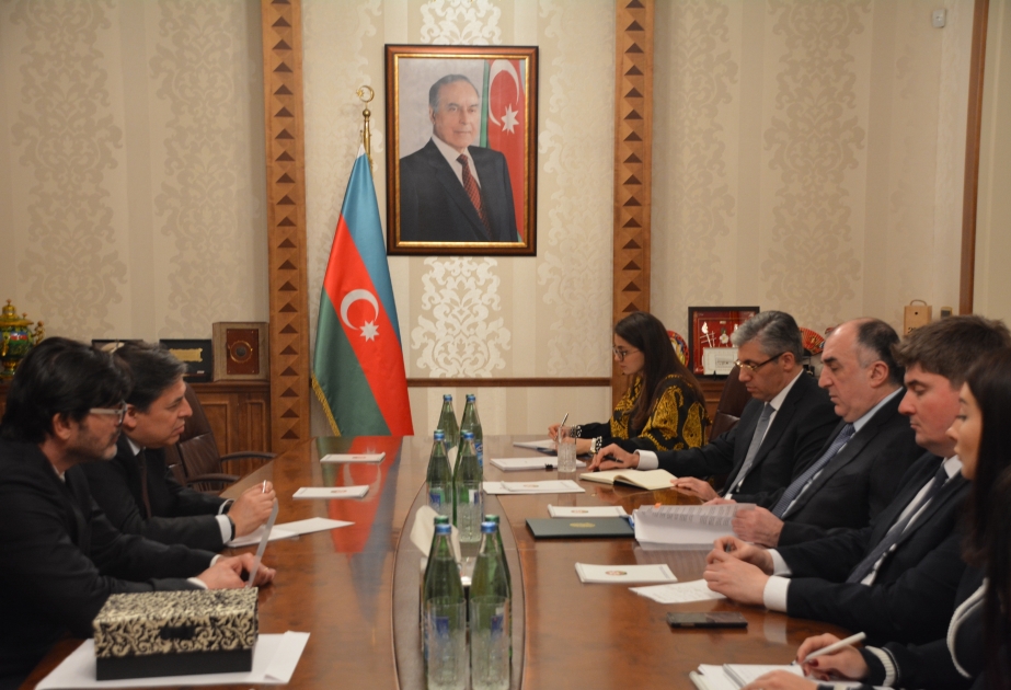Le nouvel ambassadeur du Brésil remet la copie figurée de ses lettres de créance au ministre des affaires étrangères azerbaïdjanais