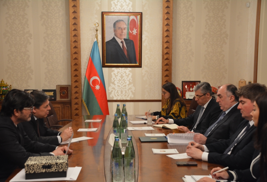 巴西新任驻阿塞拜疆大使向外长递交任职国书副本