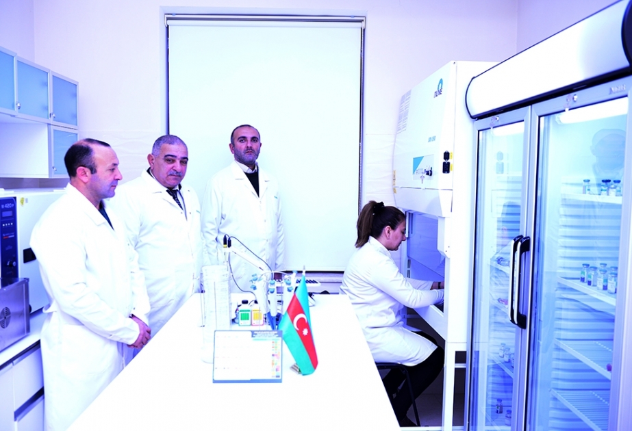 İl ərzində Şəmkir rayonunda 40360 kvadratmetr sahədə profilaktiki dezinfeksiya işləri görülüb