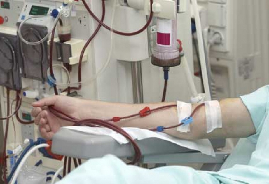 В Азербайджане особое внимание уделяется развитию служб крови