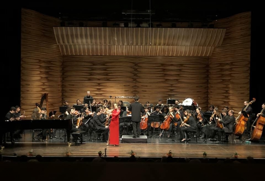 Gənc azərbaycanlı musiqiçilər Vyanada Yeni il konsertinə dirijorluq ediblər