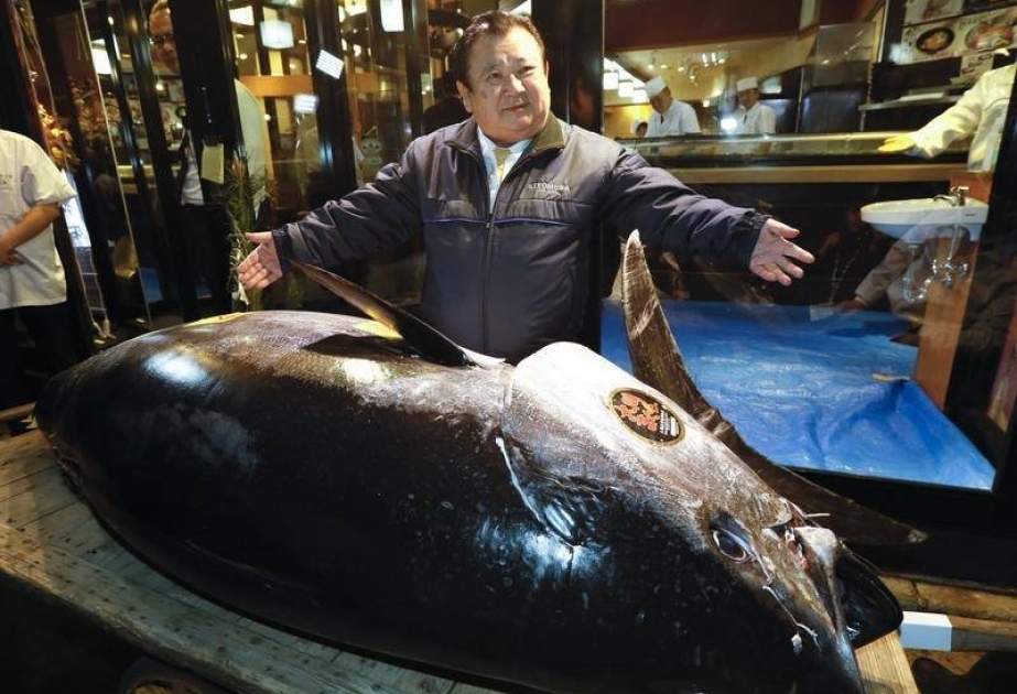 Tokioda tuna balığı hərracda rekord məbləğə satılıb