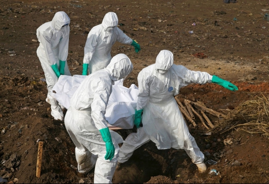 Kongo: Mehr als 600 Fälle an dem lebensgefährlichen Ebola-Virus erkrankt