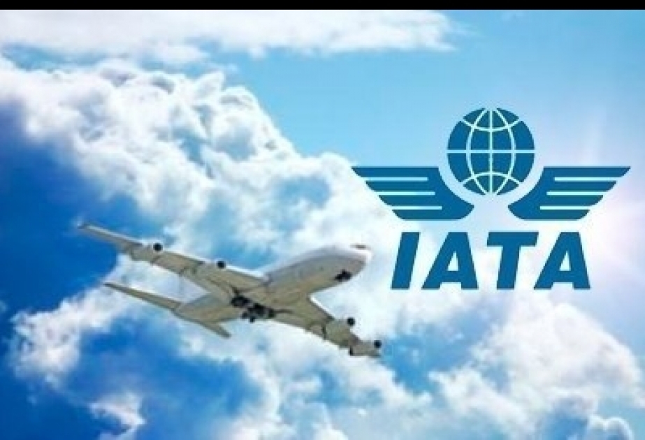 IATA: рост пассажирских авиаперевозок в мире в ноябре замедлился до 6,2 процента