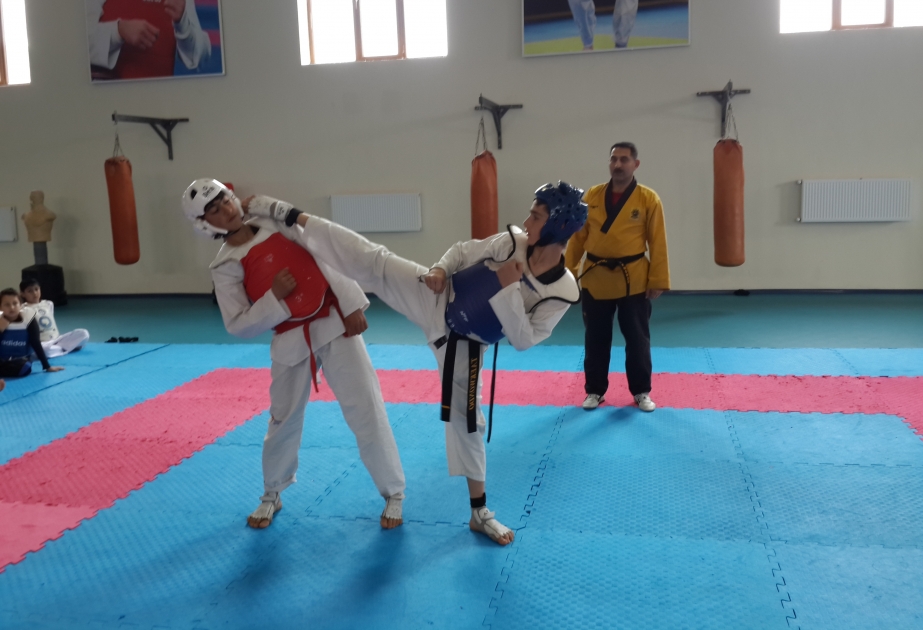 Masallı taekvondoçuları ötən il 50-dən çox medal qazanıblar