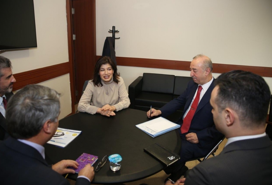 Turkic Culture and Heritage Foundation, IMM discuss future cooperation