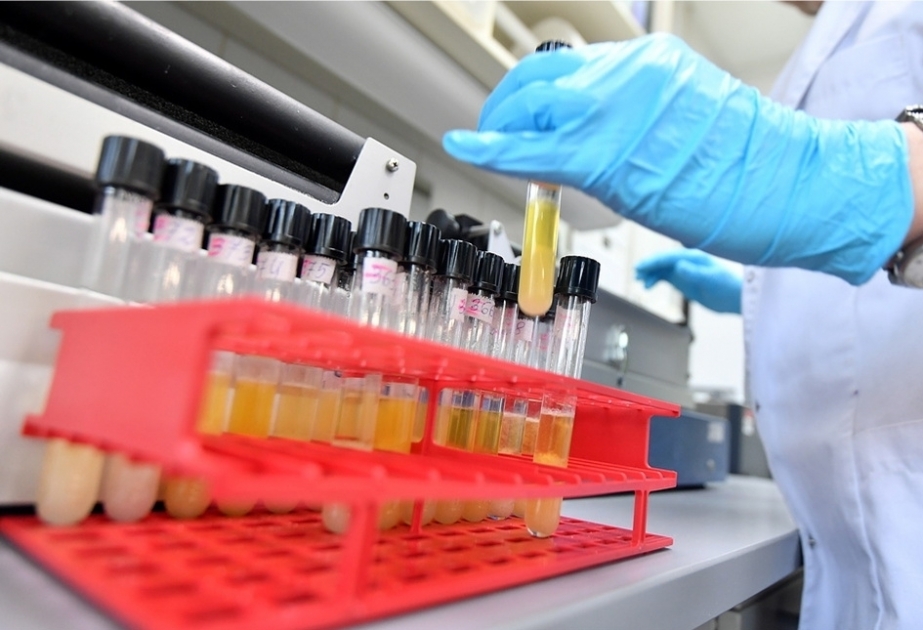 WADA experts arrive in Russian capital to access data of Moscow Anti-Doping Lab