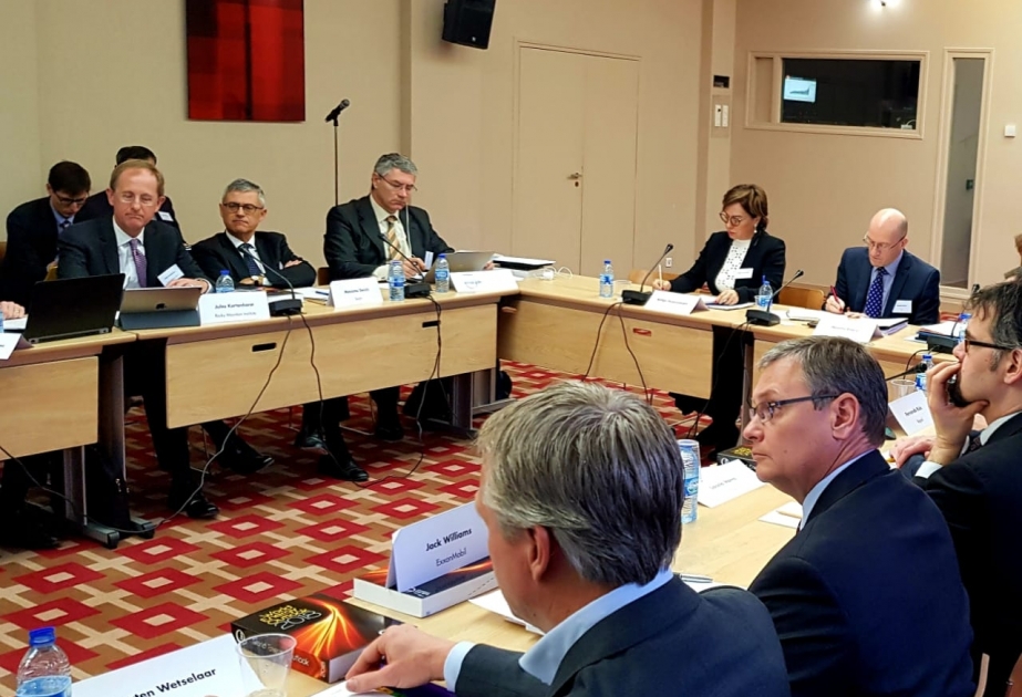 Rəfiqə Hüseynzadə: SOCAR ətraf mühitin mühafizəsi ilə bağlı beynəlxalq əməkdaşlığa xüsusi önəm verir