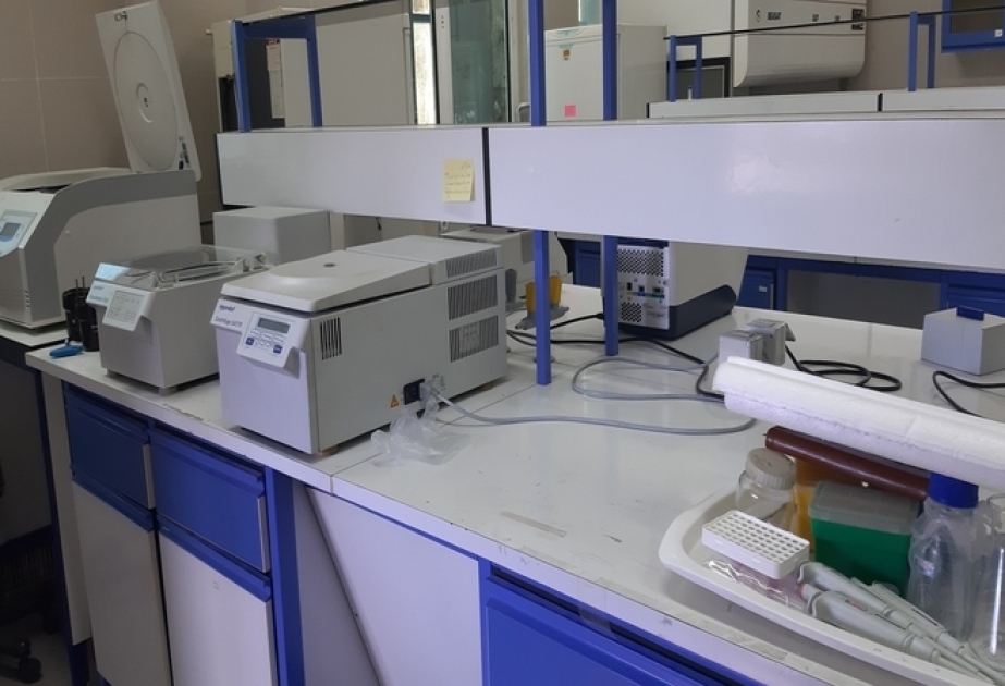 Molekulyar Biologiya və Biotexnologiyalar İnstitutu və Urmiya Universiteti arasında əməkdaşlıq imkanları müzakirə olunub