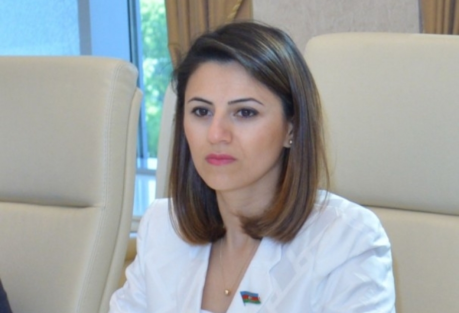 Sevinc Fətəliyeva: Bütün diplomatik cəbhələrdə uduzan Ermənistanın təcrid vəziyyəti getdikcə dərinləşir
