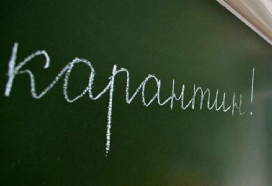 Ukraynada məktəblərdə qripə görə karantin elan edilib