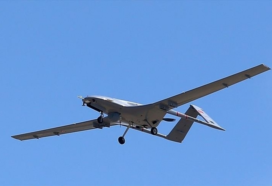 Ukraine purchases armed drones from Turkey