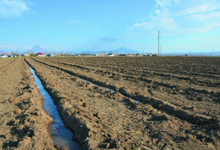 Bu il ən azı daha 80 min hektar su ilə təmin olunacaq