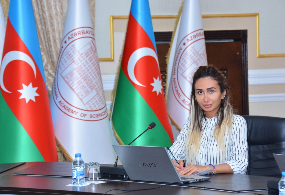 Nəsiminin yaradıcılığı Azərbaycan türkcəsinin tarixini öyrənmək baxımından böyük əhəmiyyətə malikdir