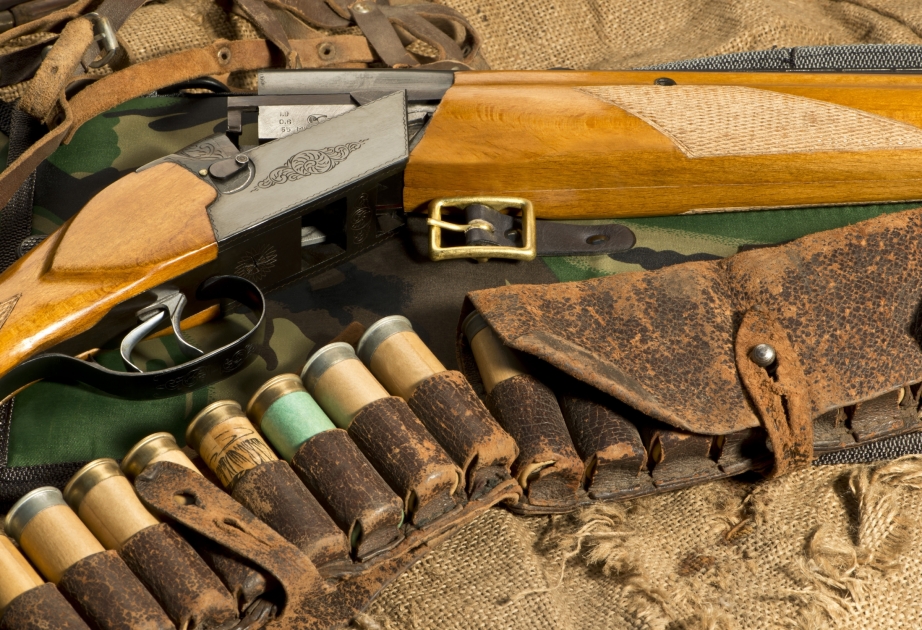 В Испании будут производить биоразлагаемые пули для охотничьих ружей