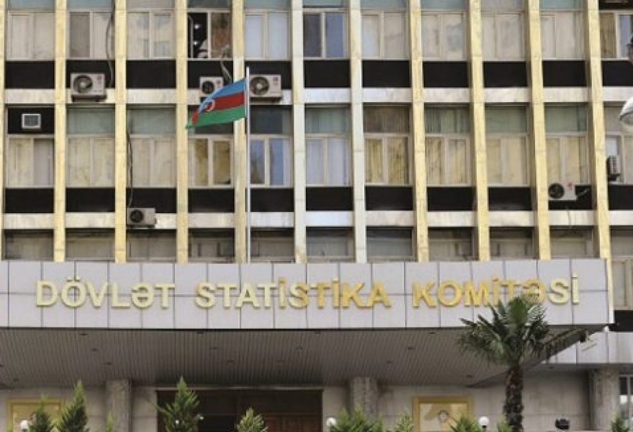 Keçən il sənaye məhsulunun 22,2 faizi emal sektorunda istehsal olunub