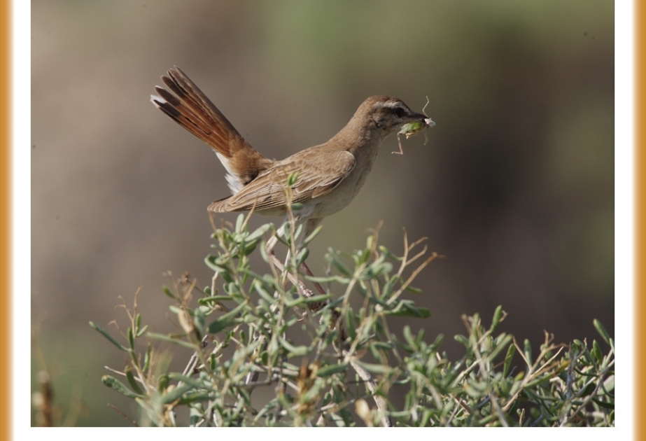 La reserva natural de Guirkán es candidata para convertirse en Patrimonio Ecológico de la UNESCO