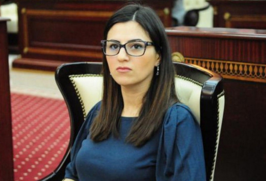Sevinc Fətəliyeva: Azərbaycan elə qüdrətli dövlətdir ki, onunla qətnamə dili ilə danışmaq, ona təzyiq etmək mümkün deyil