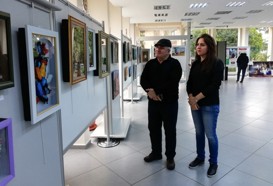 在伊斯坦布尔展出的阿塞拜疆艺术家的作品引起极大兴趣