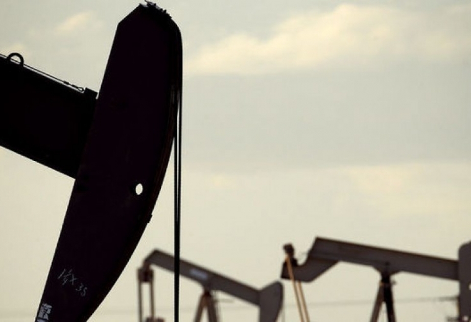 В этом году поставки нефти стран, не входящих в ОПЕК, увеличатся до 62,1 миллиона баррелей в сутки