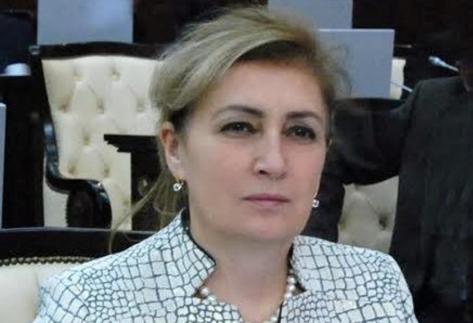 Məlahət İbrahimqızı: Avropa Parlamentinin ermənipərəst qüvvələrin əlində alətə çevrilməsi təəssüf doğurur