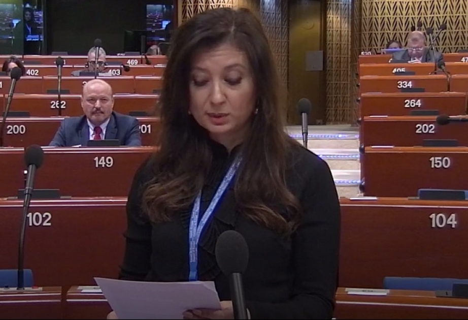 Azərbaycanlı deputat AŞPA-da gender bərabərliyinin vacibliyindən danışıb