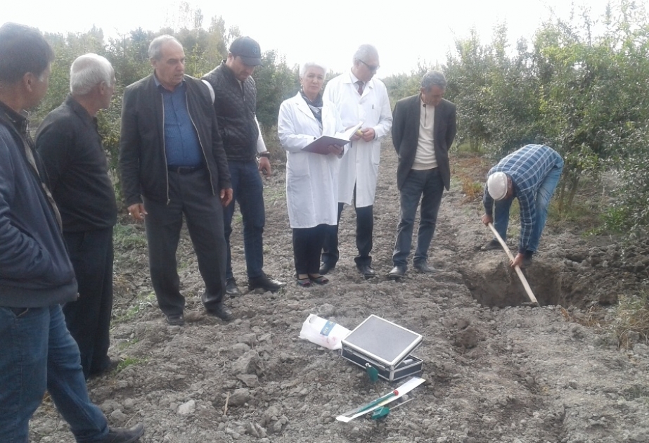 AMEA-nın alimləri bir neçə rayonda çöl tədqiqatları aparıblar