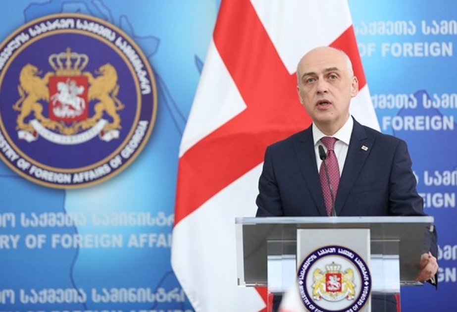 David Zalkaliani: Gürcüstan ilə Azərbaycan arasında bütün vacib məsələlər üzrə qarşılıqlı dəstək mövcuddur VİDEO
