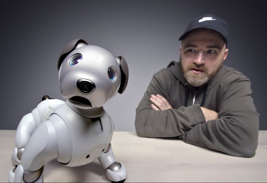 “Sony” özünün elektron robot-itini yeni izləmə funksiyaları ilə təchiz edəcək