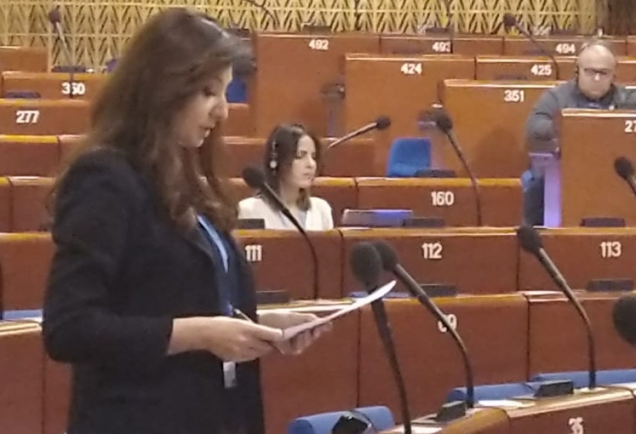 Ülviyyə Ağayeva: Fiziki məhdudiyyətli insanlar üçün stimul yaradılmalı, onların cəmiyyətə fəal inteqrasiyasına yardım edilməlidir