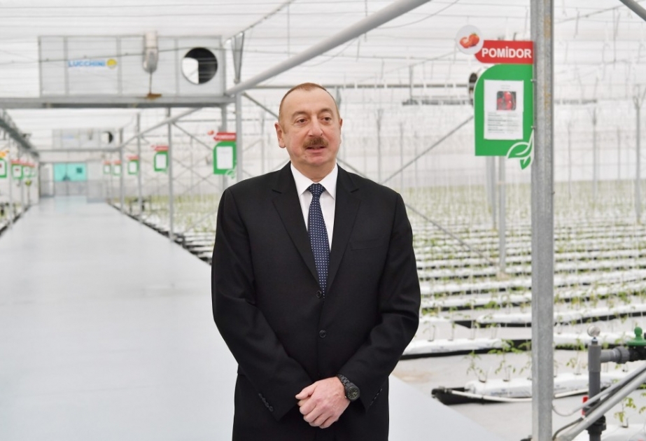 Prezident İlham Əliyev: İxtisar olunan strukturlarda çalışan vətəndaşlar işlə təmin ediləcəklər