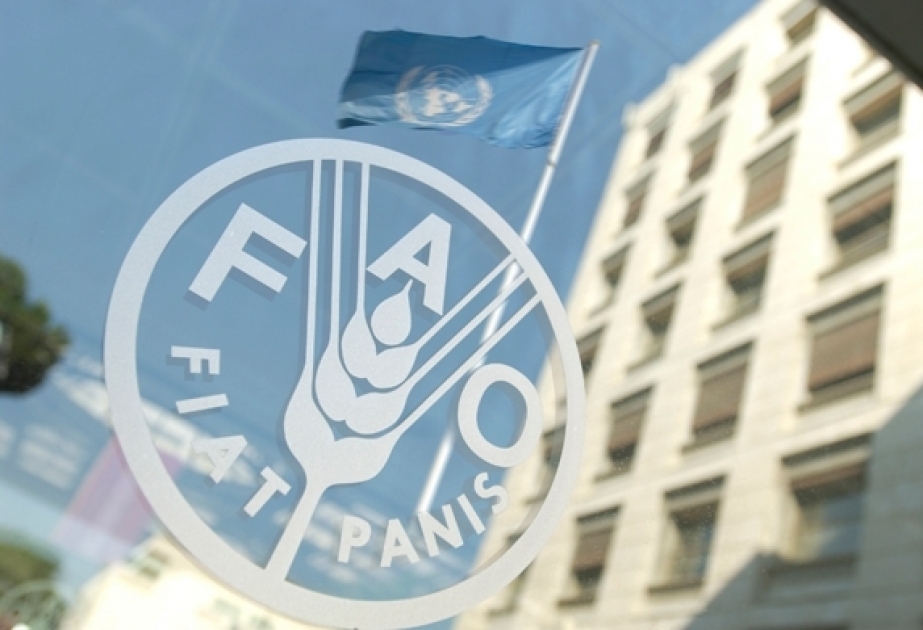 La FAO débloque une aide financière à la Géorgie