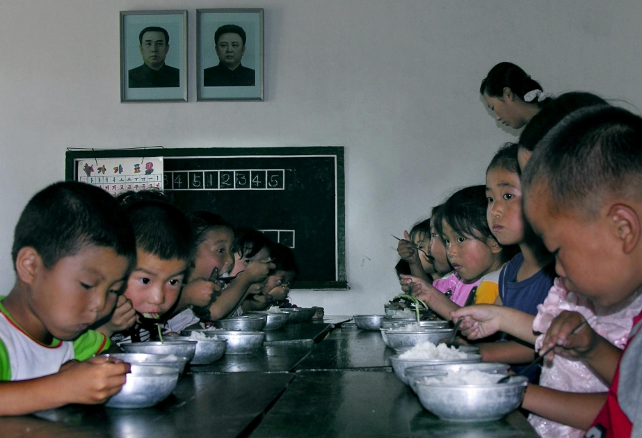 WFP says US$32.1 mln needed for food aid to N. Korea this year