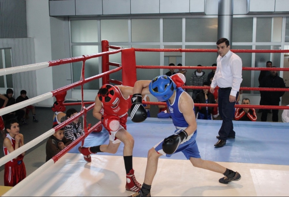 Lənkəranda 20 Yanvar şəhidlərinin xatirəsinə həsr olunmuş ənənəvi boks turniri başa çatıb
