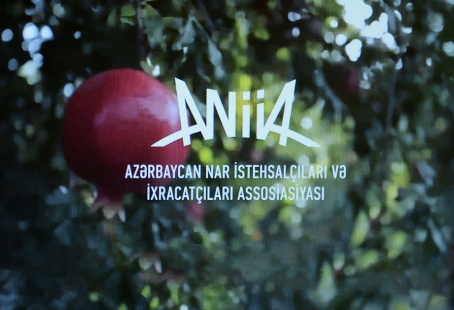 Assosiasiya sədri: Xaricdən gətirilən nar tinglərinin əkilməsini məqsədəuyğun hesab etmirik