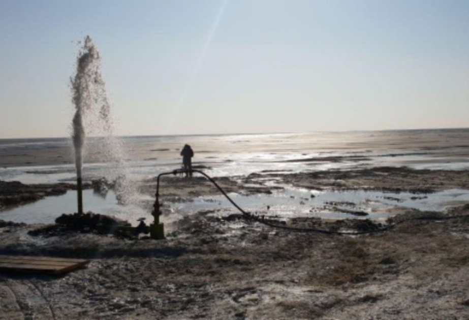 На высохшей части Арала нашли пресную воду