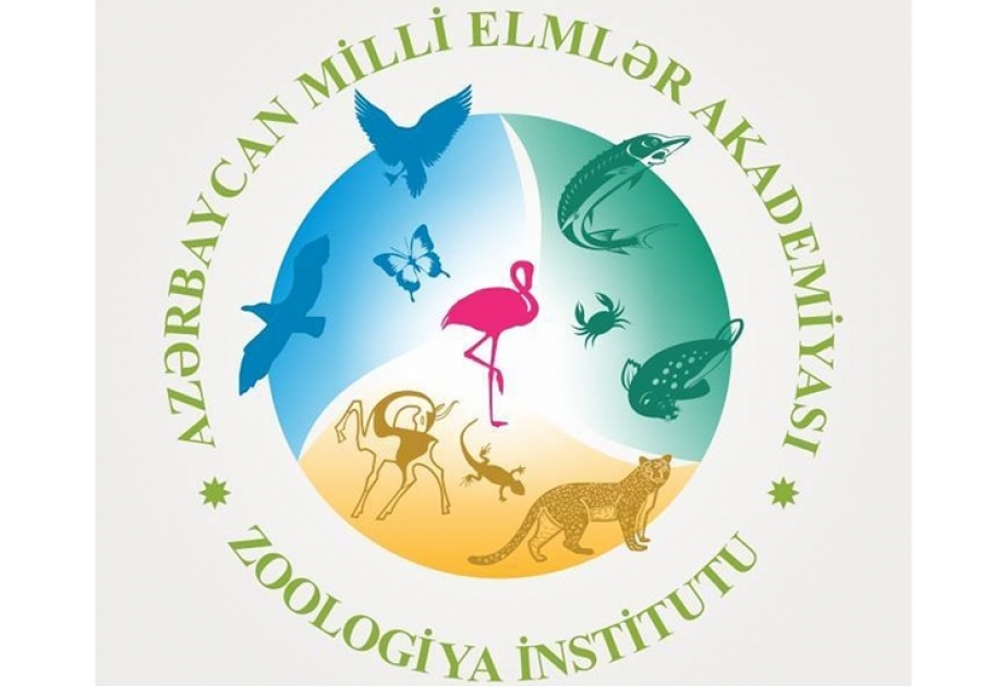 Zoologiya İnstitutunun əməkdaşı sertifikatla təltif olunub