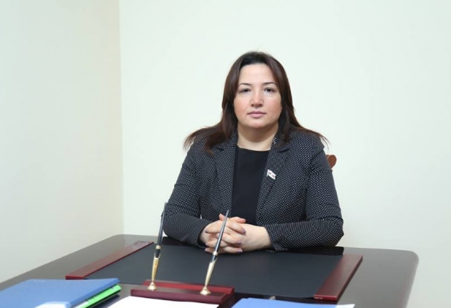 Pərvin Kərimzadə: Dövlətimizin başçısı şəhid ailələri, müharibə veteranları və əlillərinə daim xüsusi qayğı ilə yanaşıb