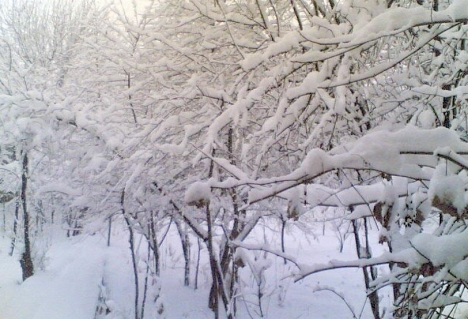 Высота снежного покрова в поселке Агдере Ордубадского района составила 32 см