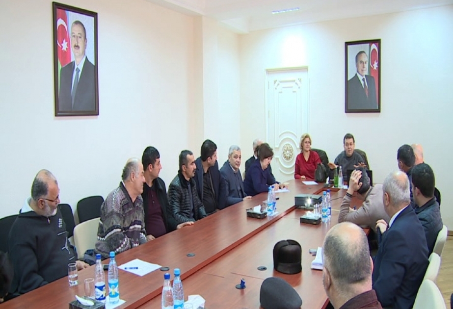 Türkiyəli mütəxəssislər lənkəranlı arıçılar üçün seminar keçirib