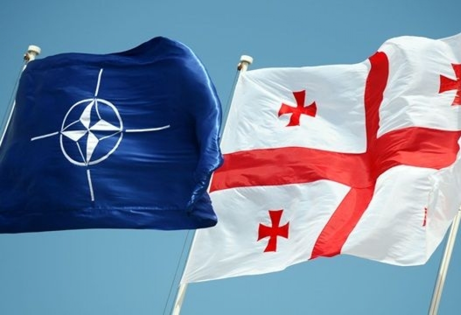 NATO-nun baş katibi Gürcüstana səfər edəcək