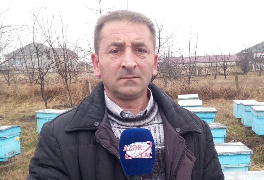 Qubalı arıçılara 189 min 830 manat subsidiya ödənib VİDEO