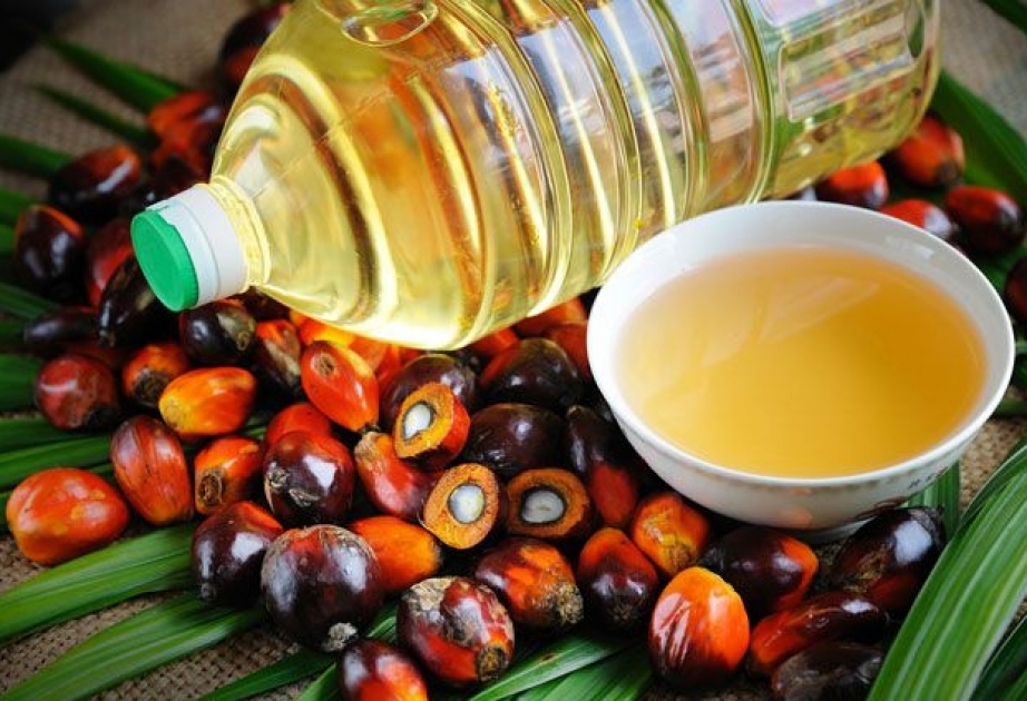 Употребление в пищу пальмового масла ведет к ожирению и развитию хронических заболеваний