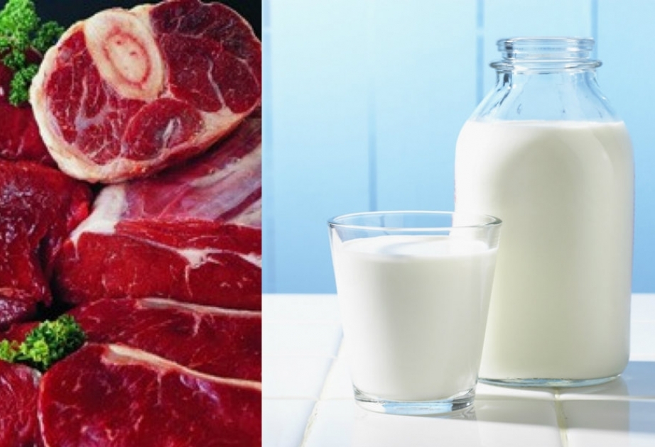 Ötən il Neftçalada süd, yumurta və yun istehsalı artıb
