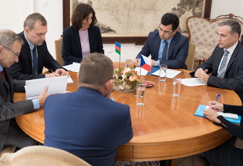 Senate President hails successful activities of Czech-Azerbaijani interparliamentary friendship groups