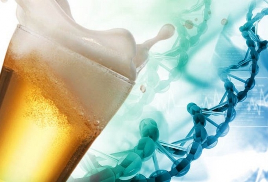 Ученые рассказали, как алкоголь влияет на генетику