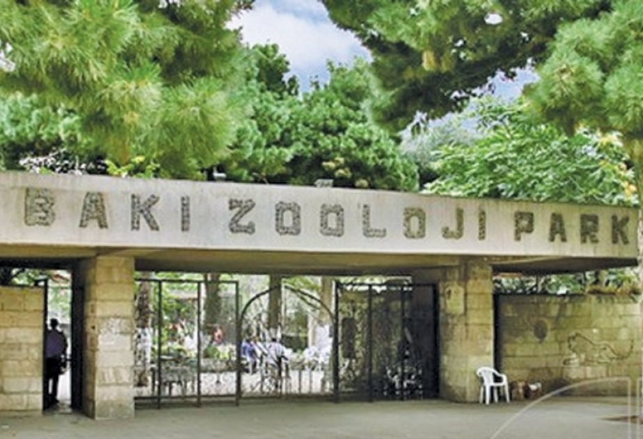 Бакинский зоопарк временно закрывается в связи с работами по реконструкции