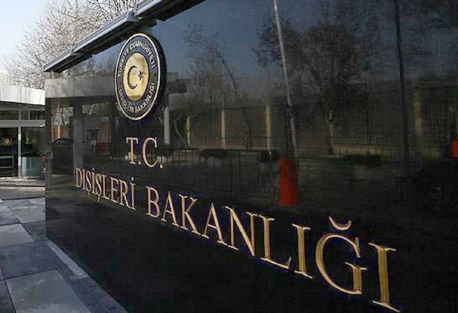 Türkiyə Yaponiyanın yeni miqrasiya qaydasına etirazını bildirib