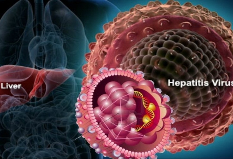 Туркменистан запустил первый национальный план по противодействию вирусному гепатиту